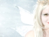 Amelia-Winter-Fairy-Profile